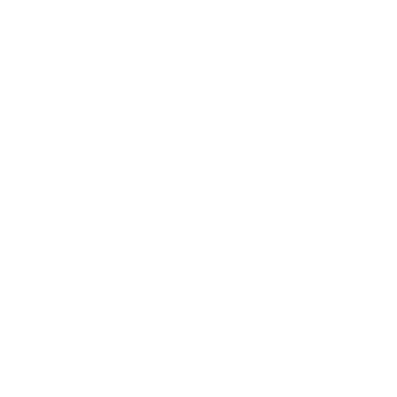 CogniCache Logo